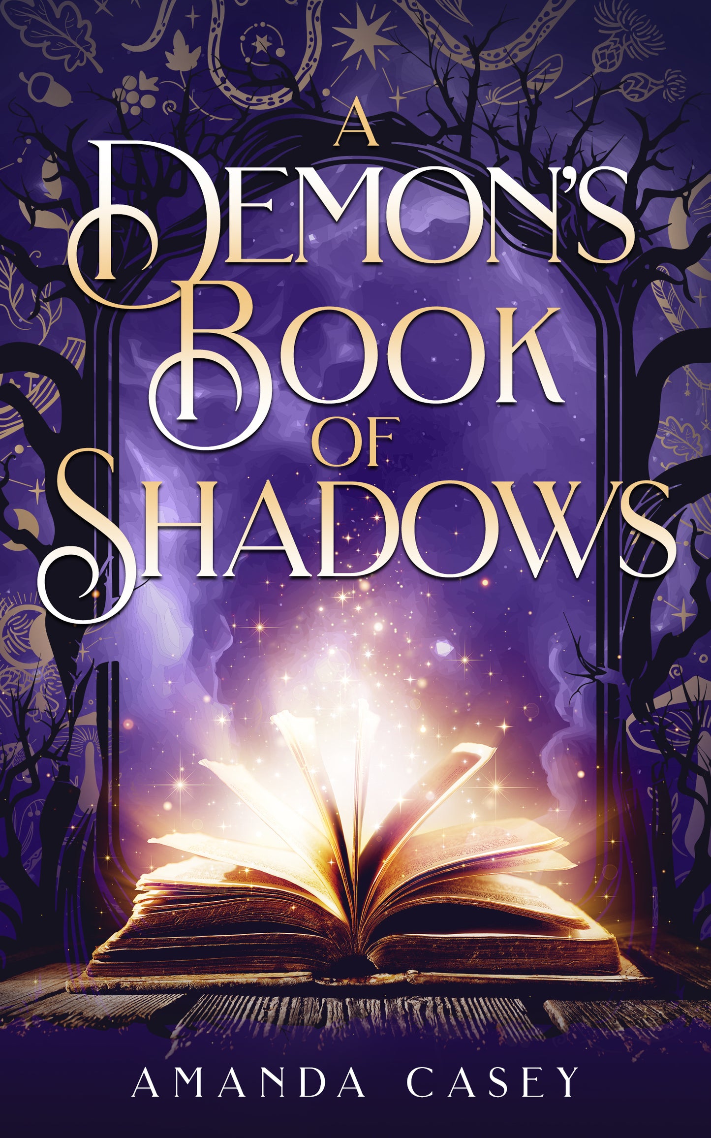 A Demon's Book of Shadows Signed Hardcover